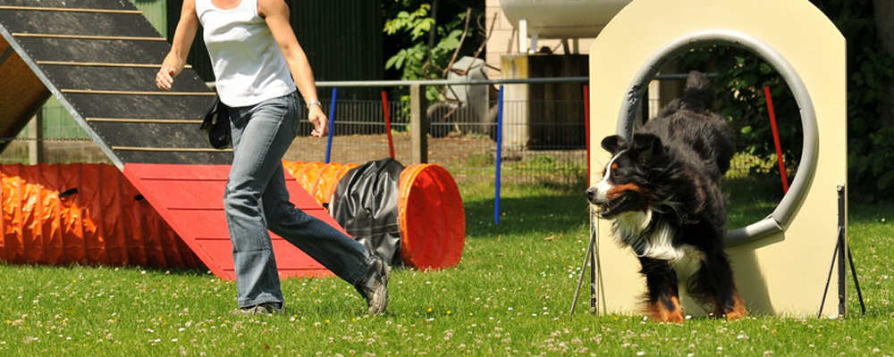 Turnierhundesport