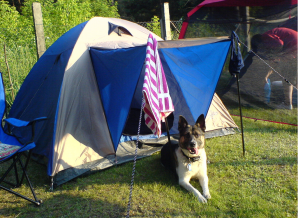 Sportlerwohnung (mit Hund)  Flickr - Fotosharing! - Google Chrome_2013-04-19_08-16-55