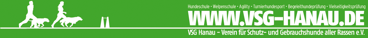 VSG Hanau